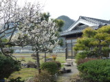 img0008.jpg
