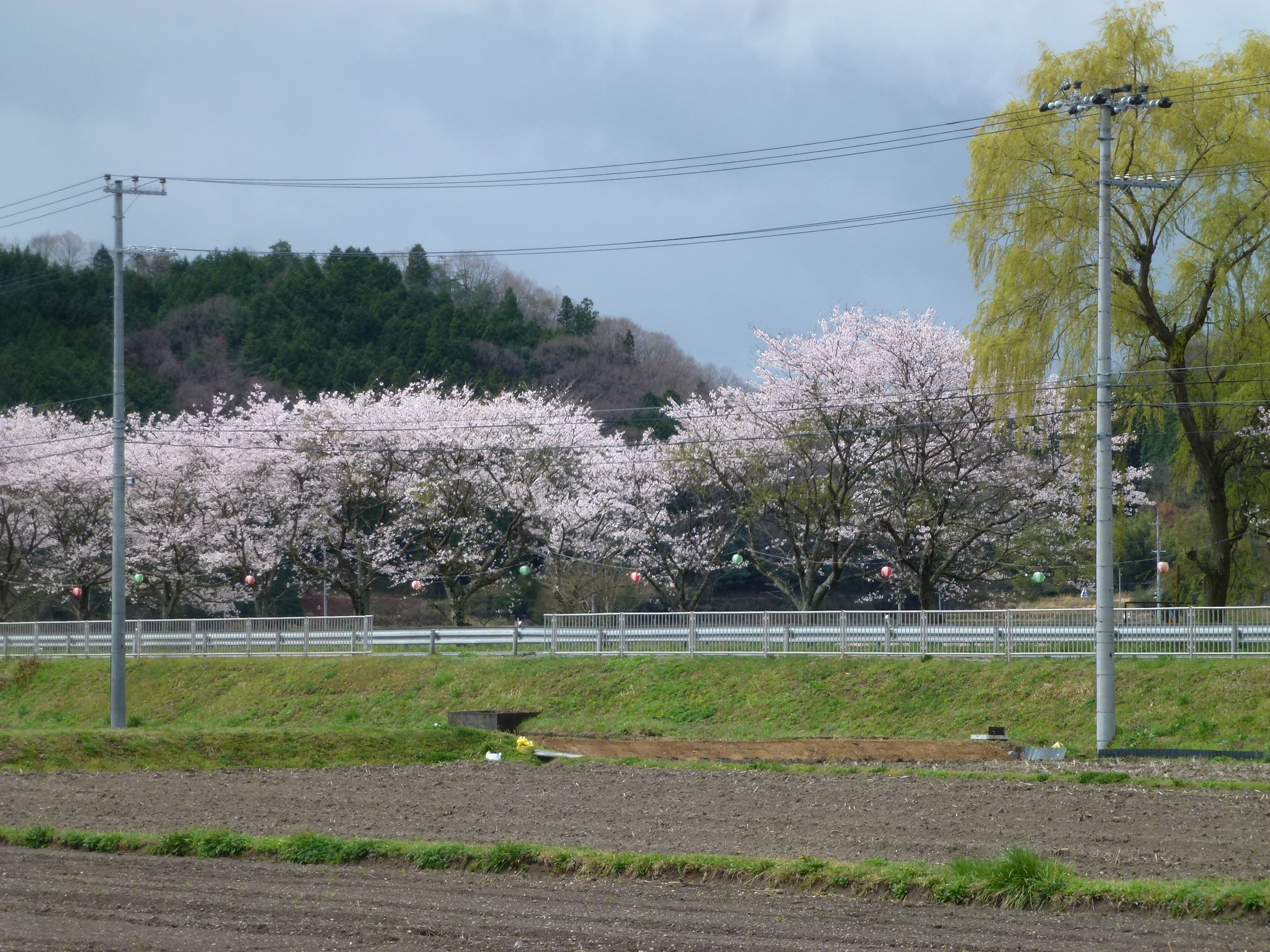 P1100215.JPG