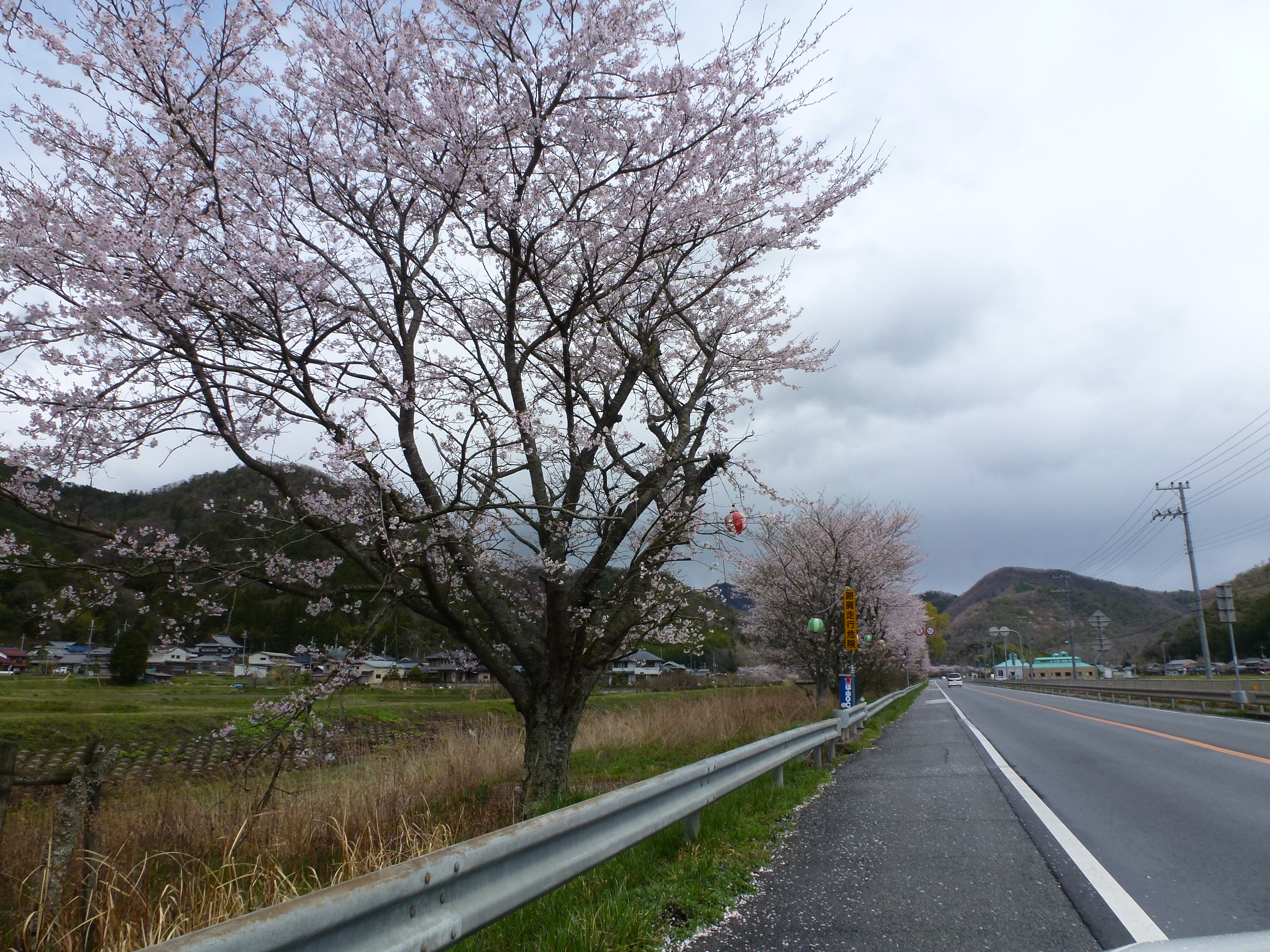P1100219.JPG