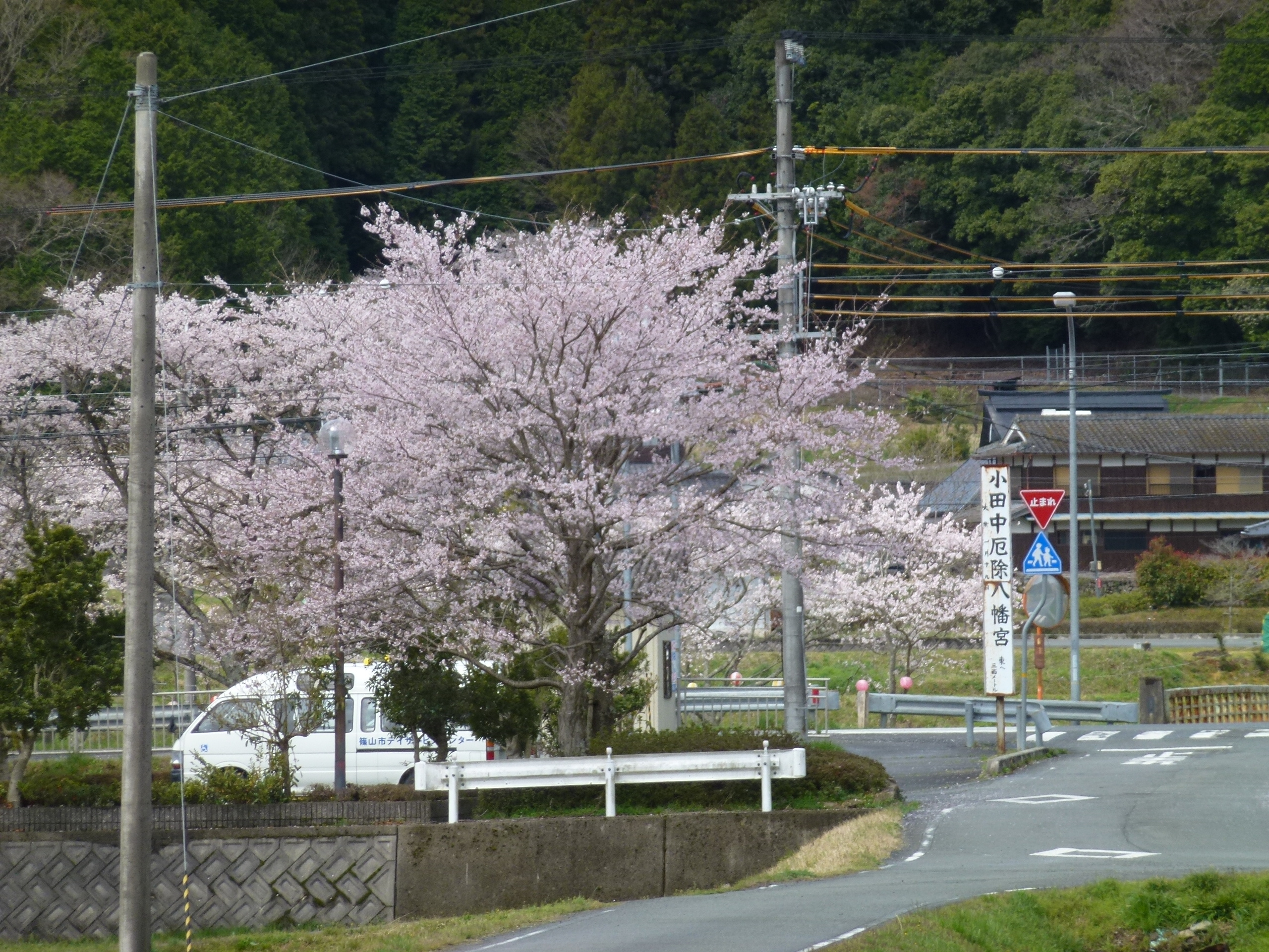 P1100225.JPG