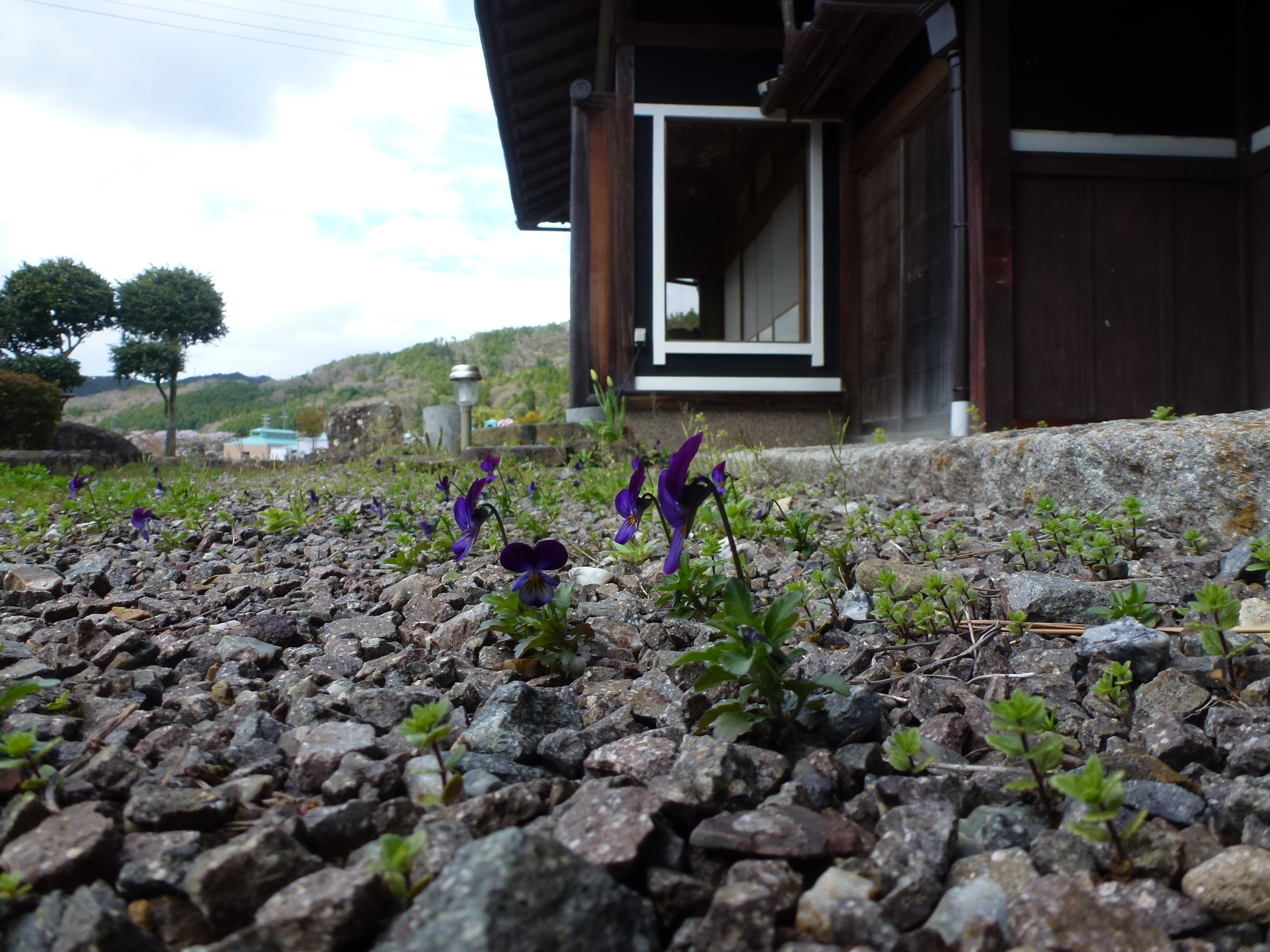 P1100228.JPG