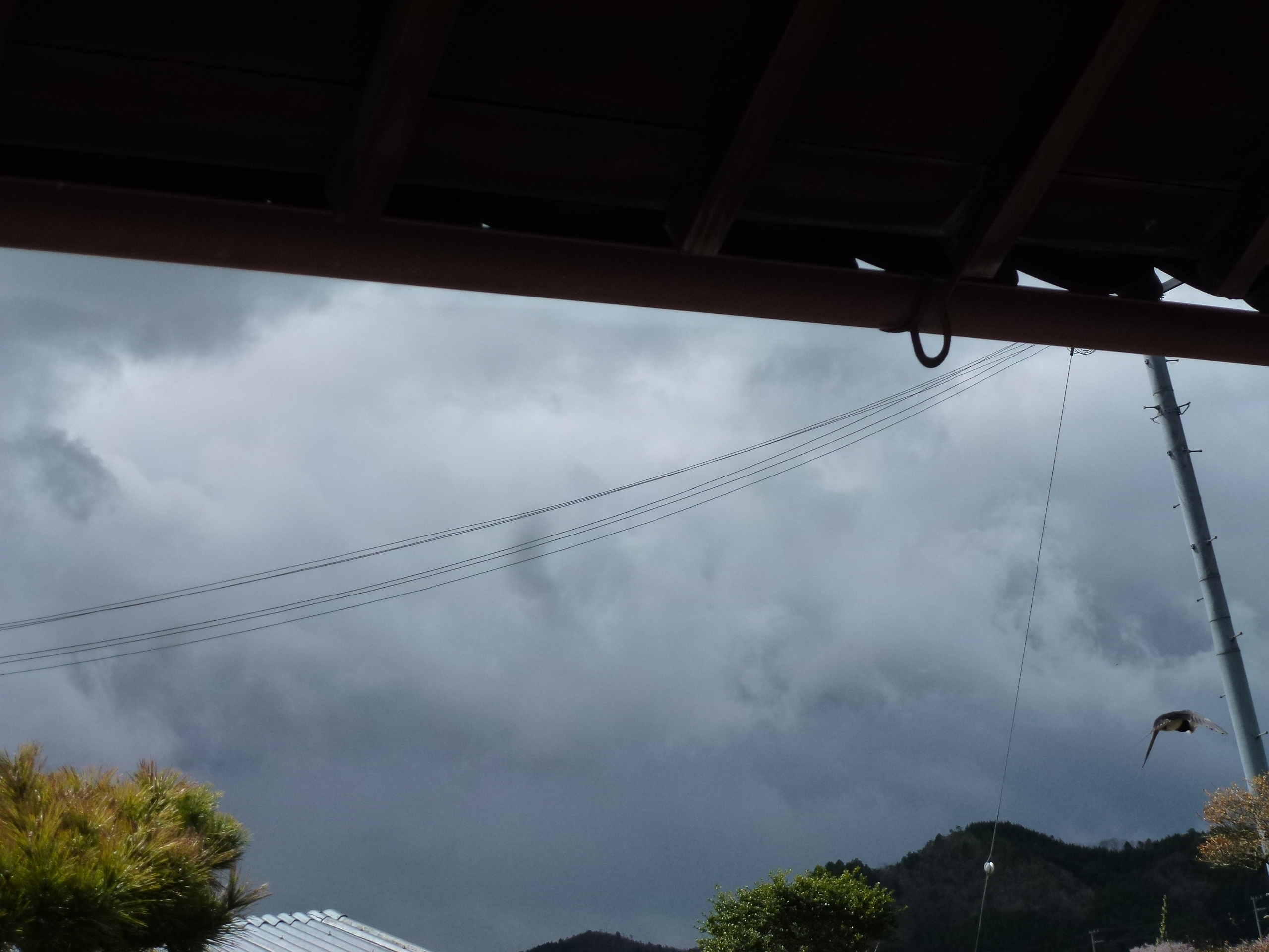 P1100230.JPG