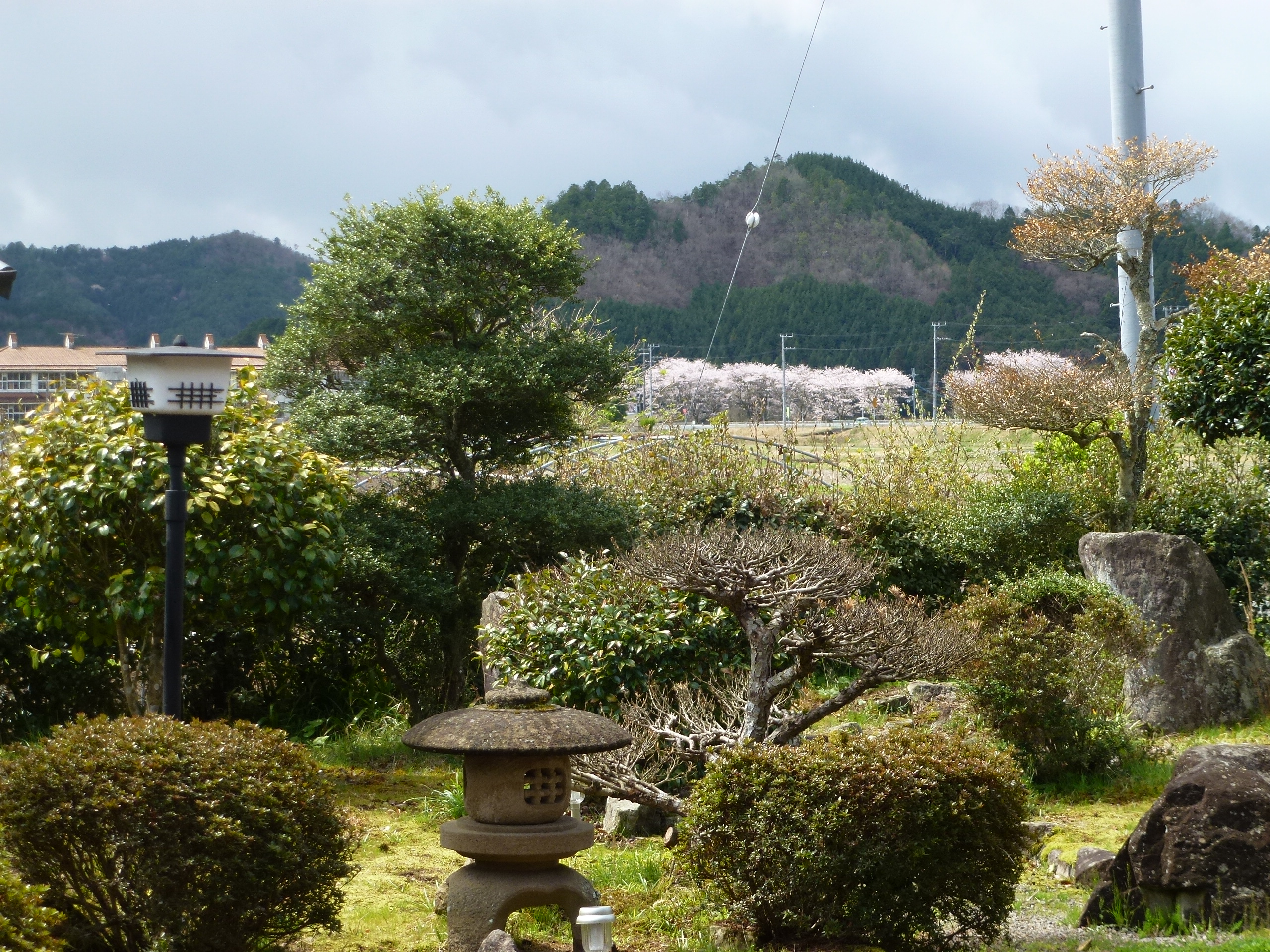 P1100236.JPG