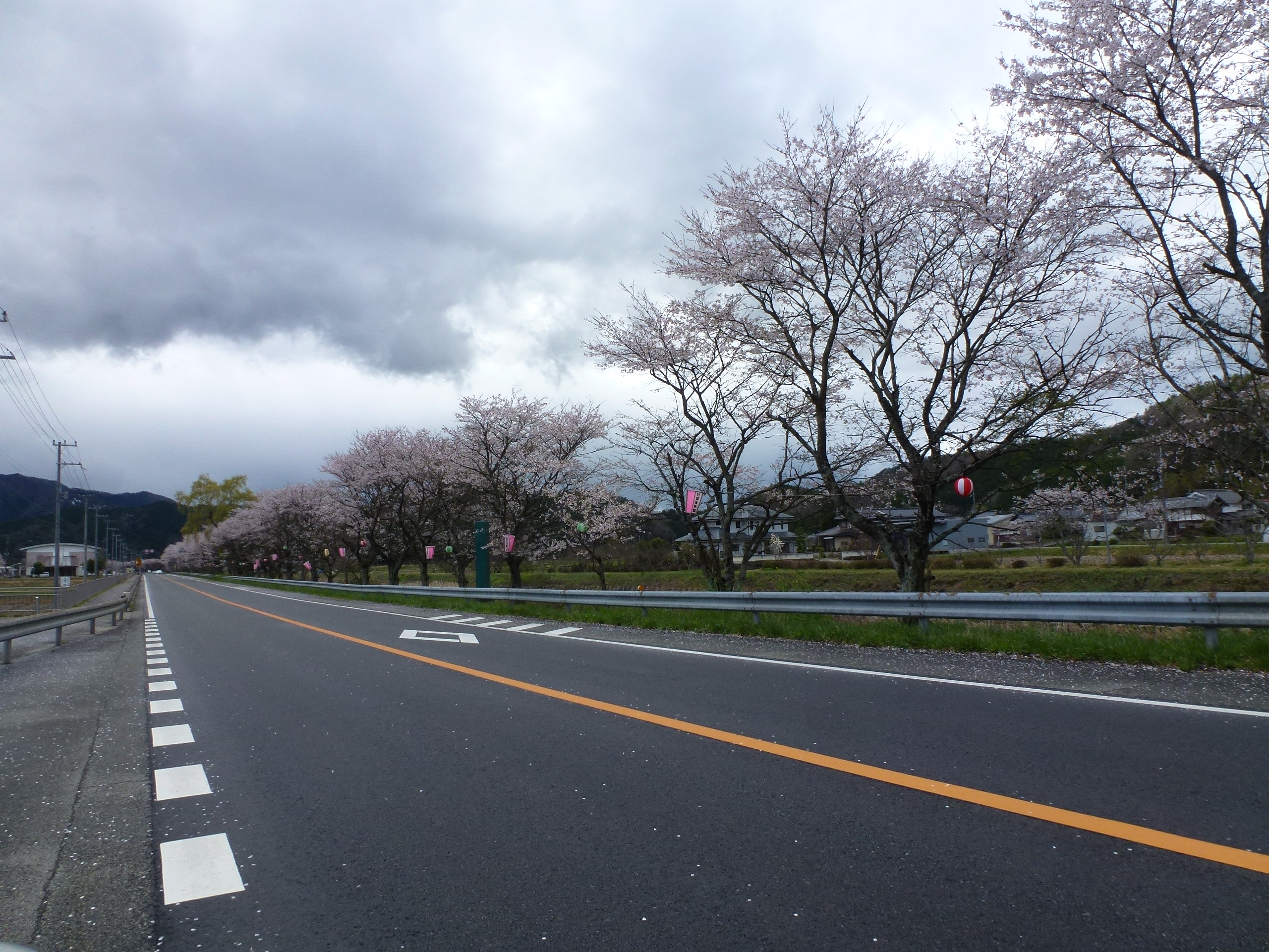 P1100238.JPG