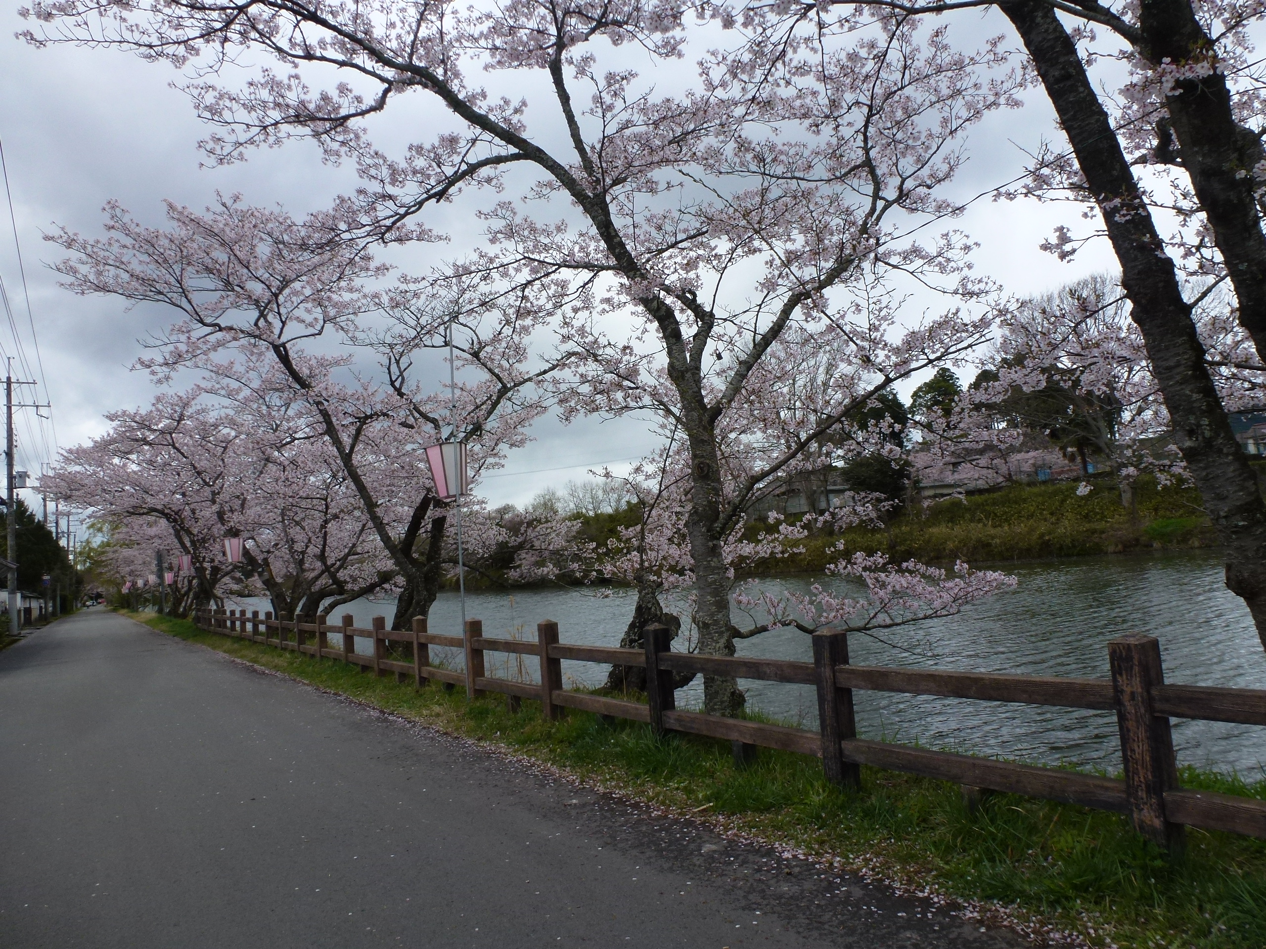 P1100241.JPG