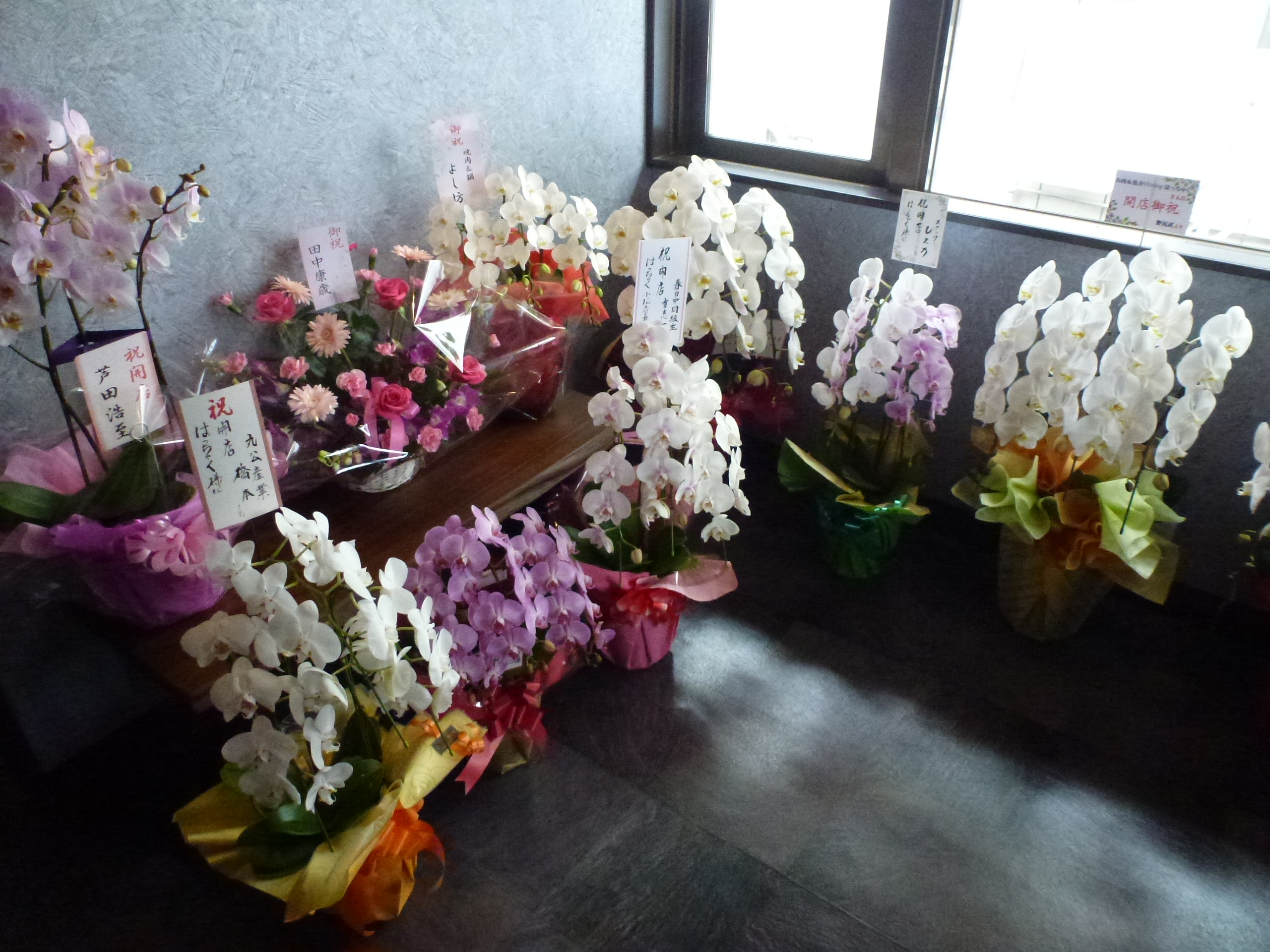 P1100250.JPG