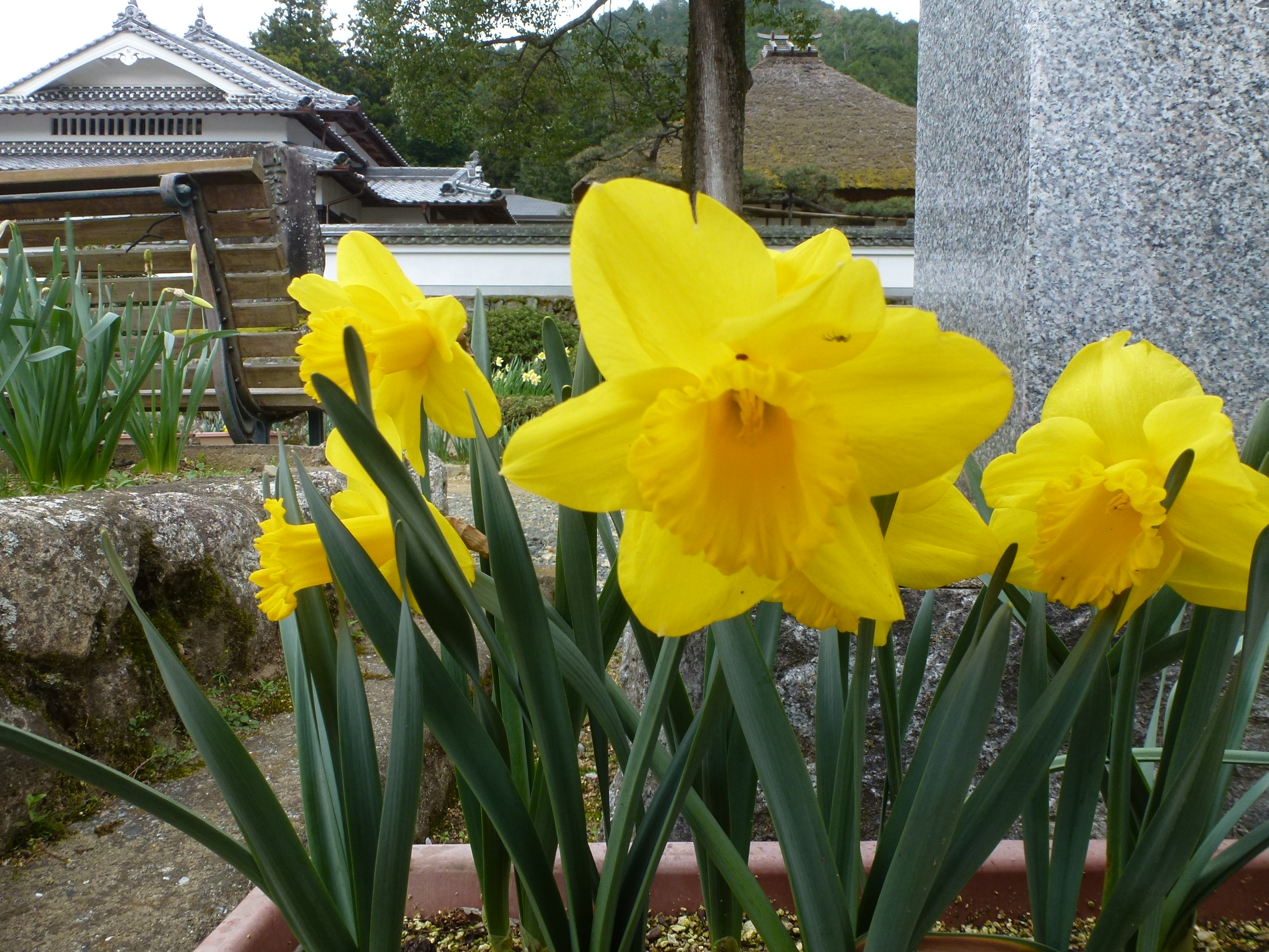 P1100260.JPG