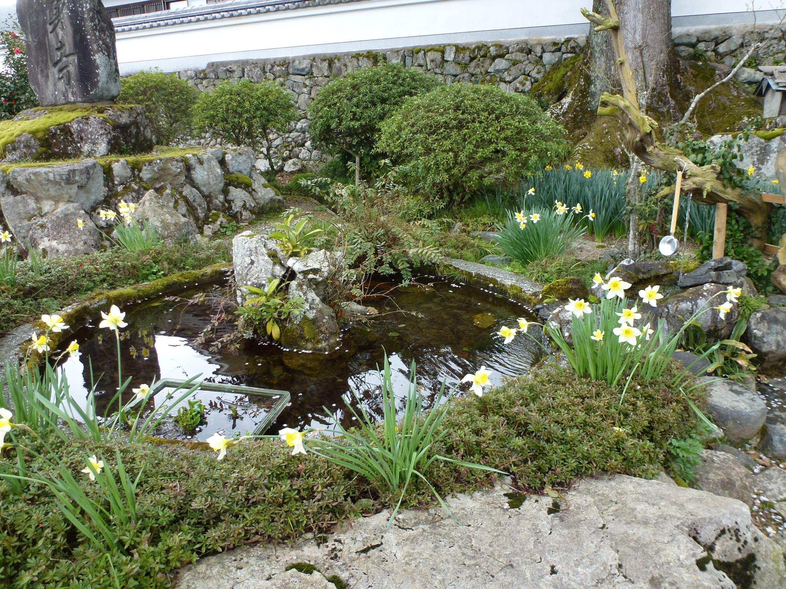P1100261.JPG
