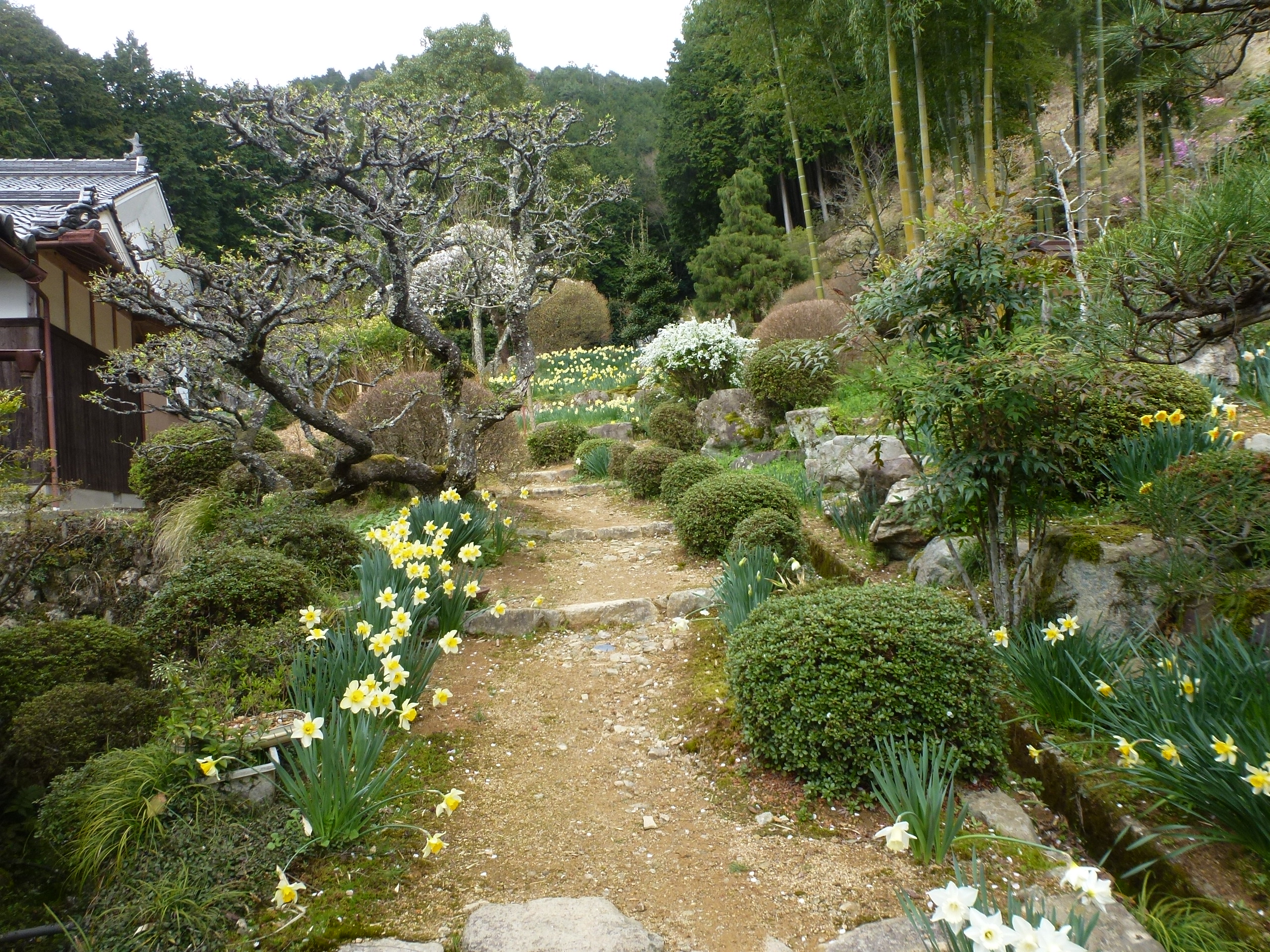 P1100262.JPG