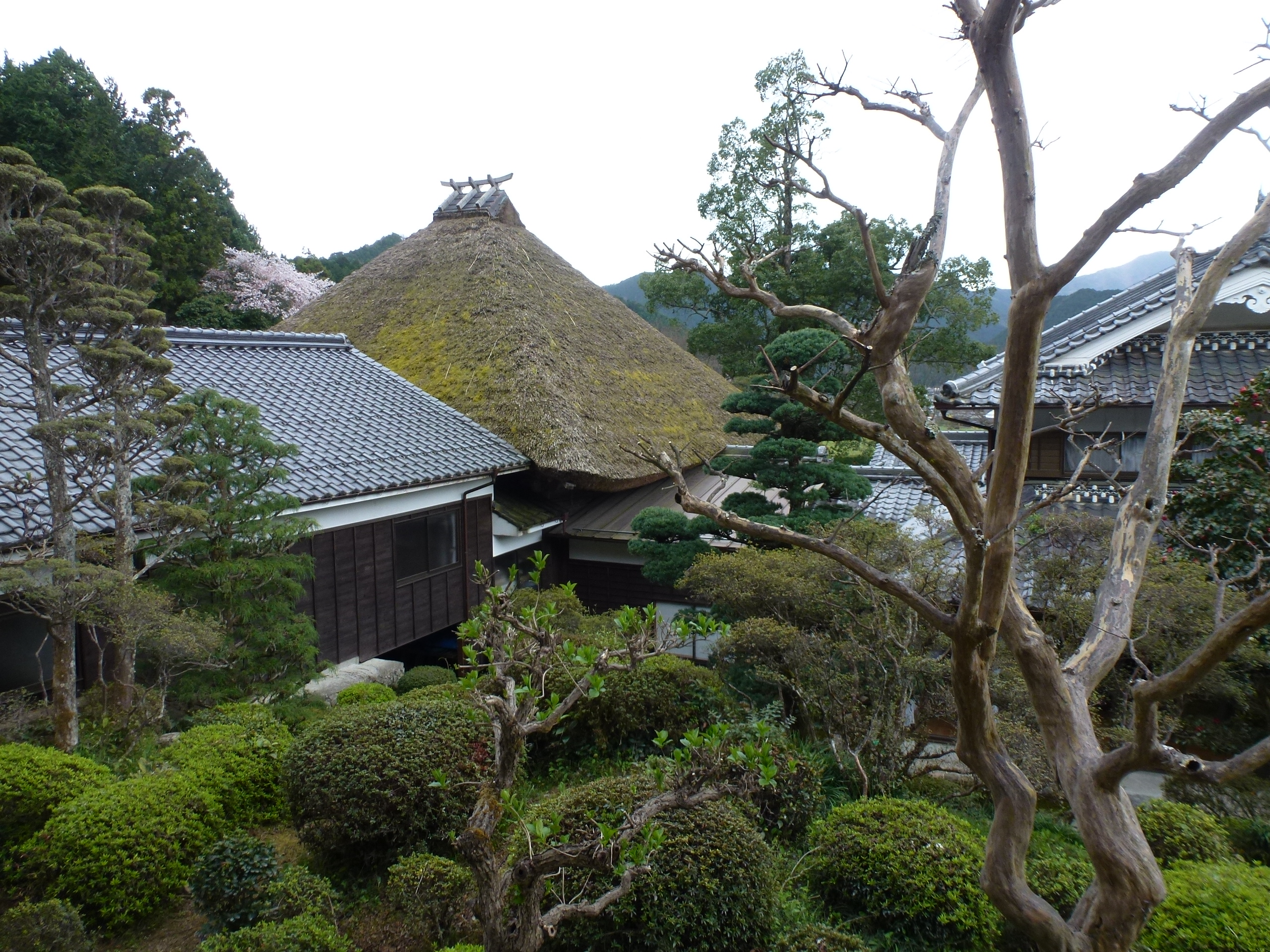 P1100267.JPG