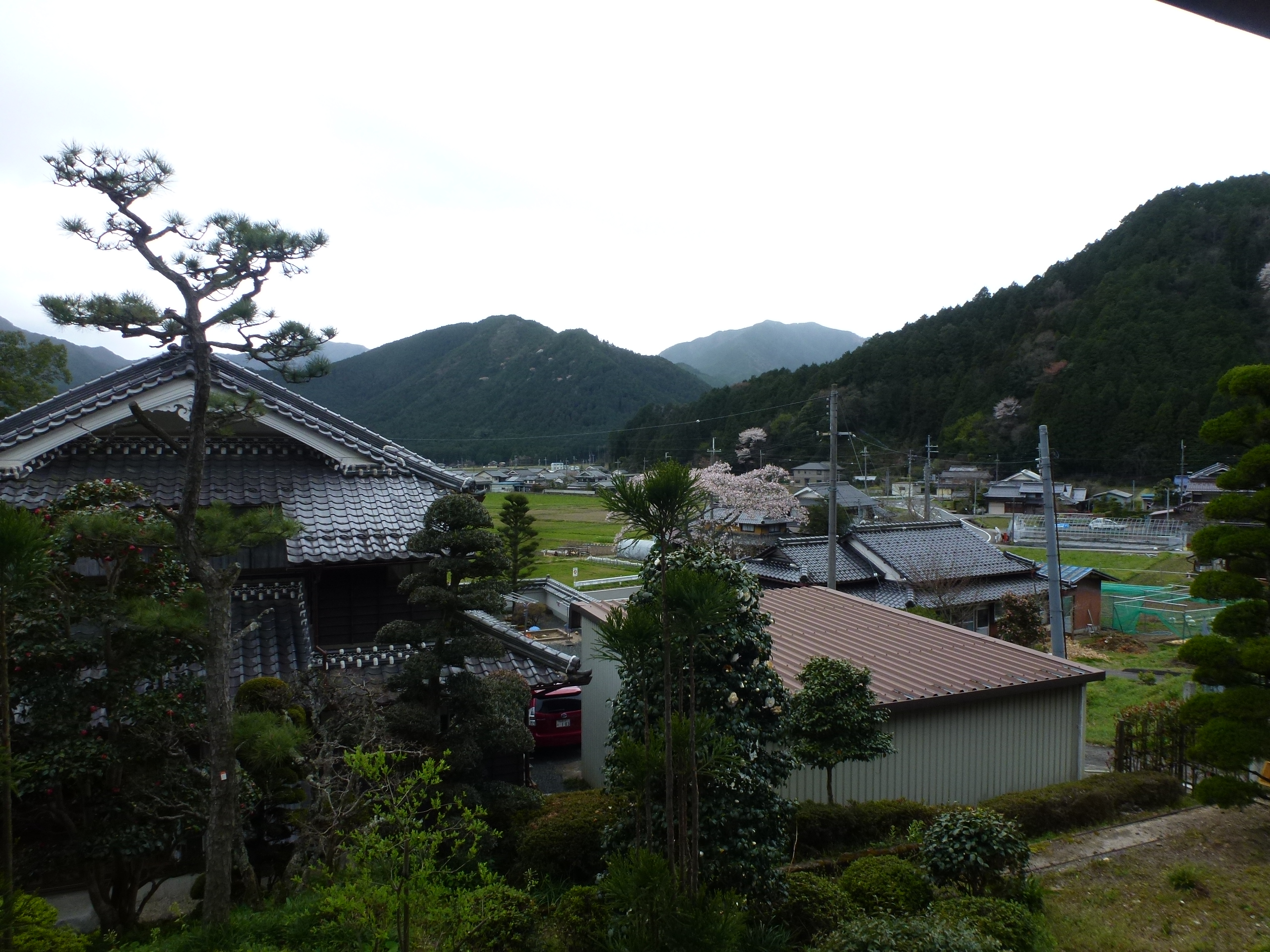 P1100268.JPG