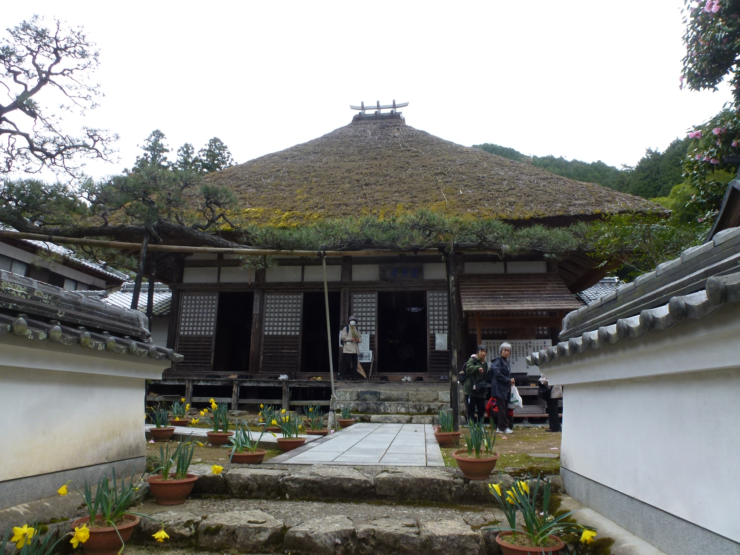 P1100270.JPG