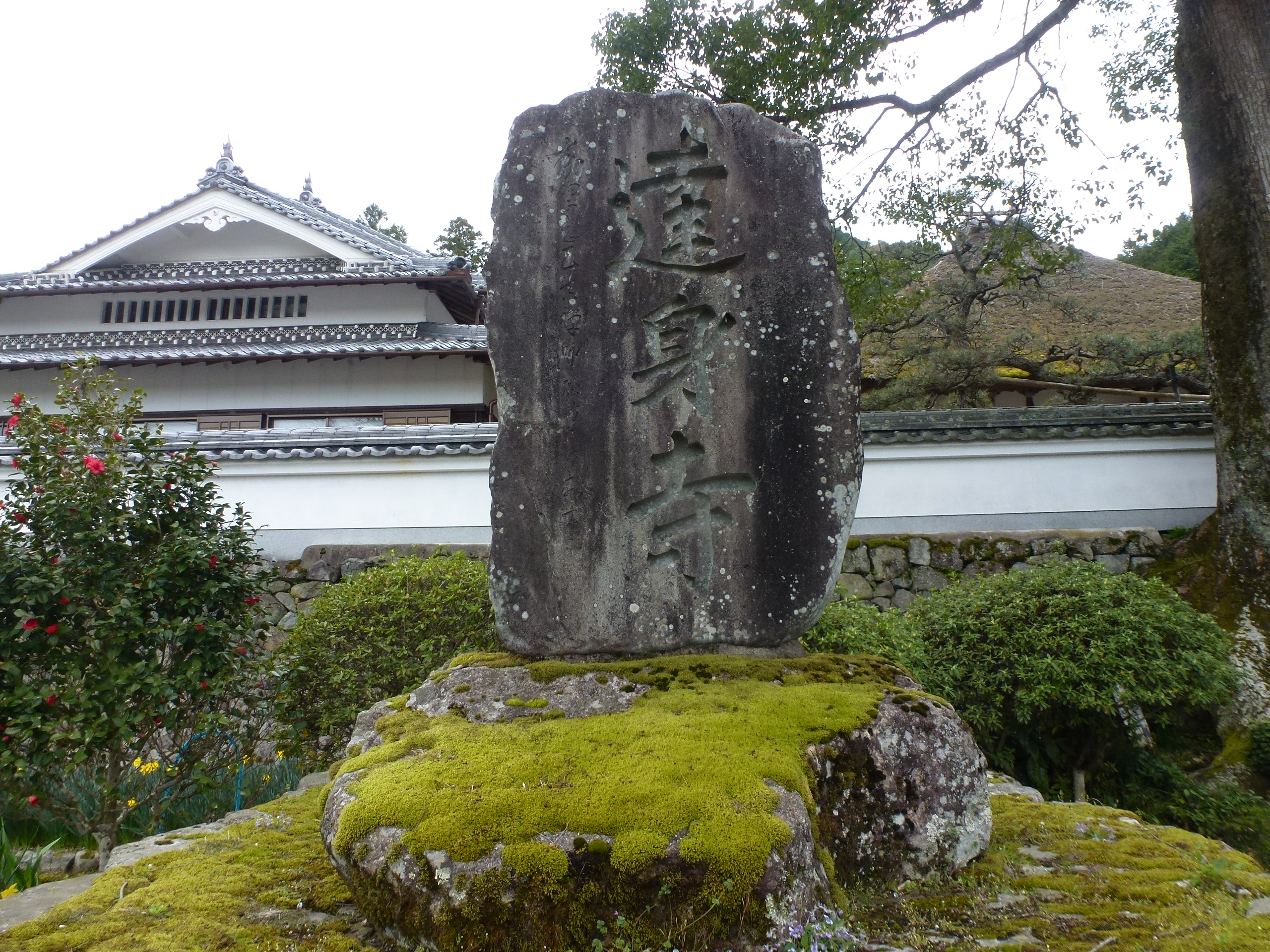 P1100271.JPG