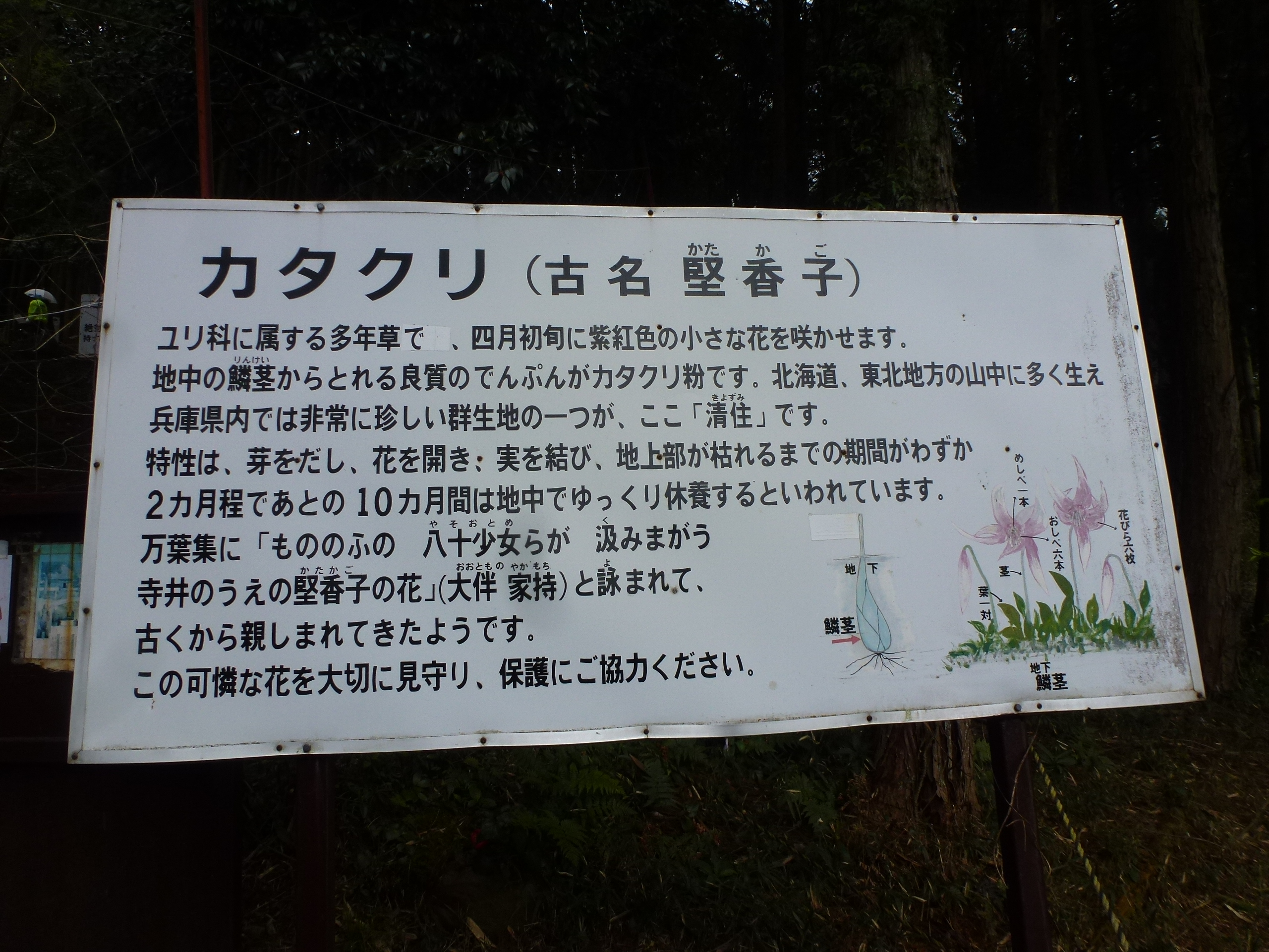 P1100273.JPG