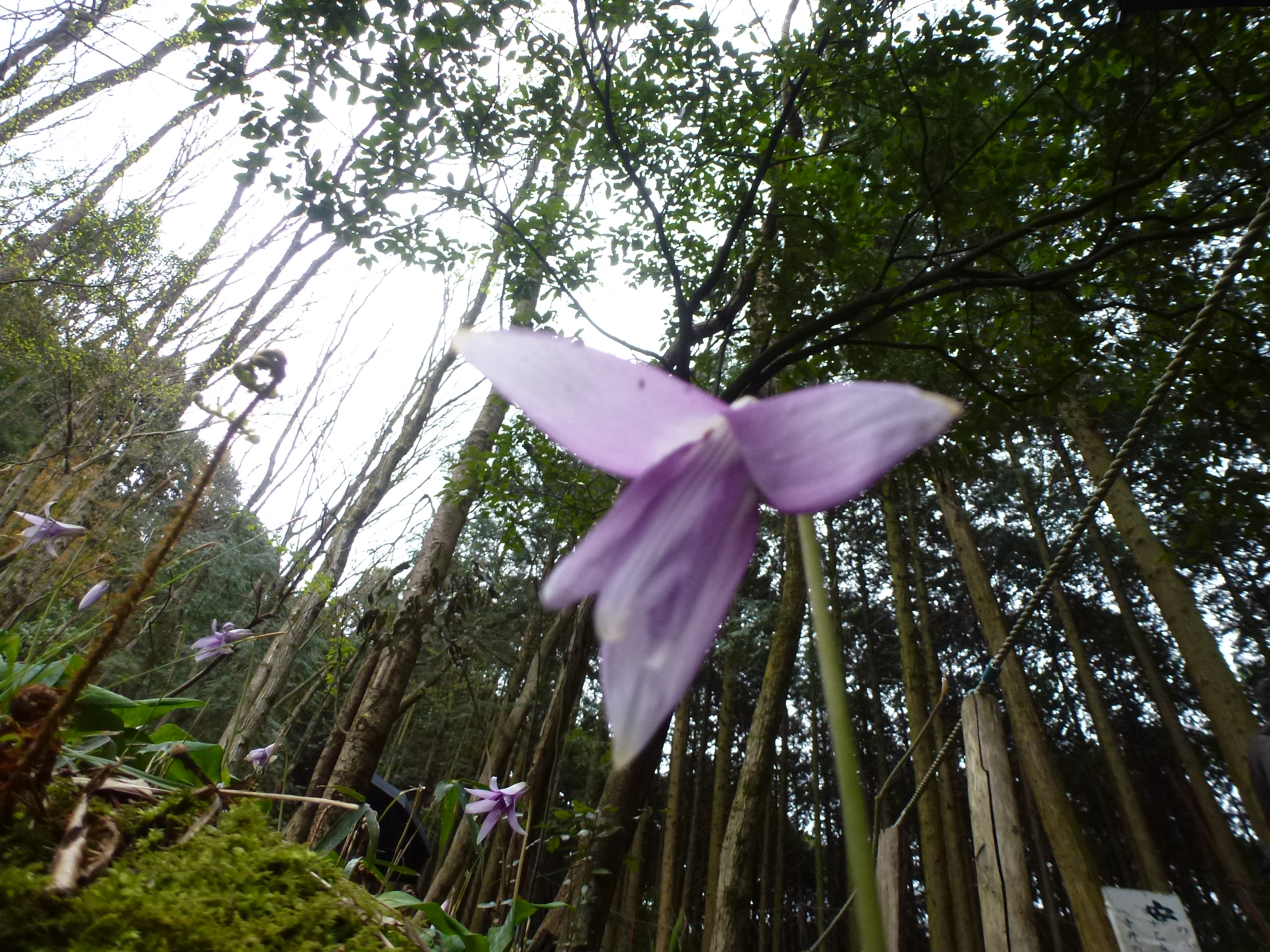 P1100279.JPG