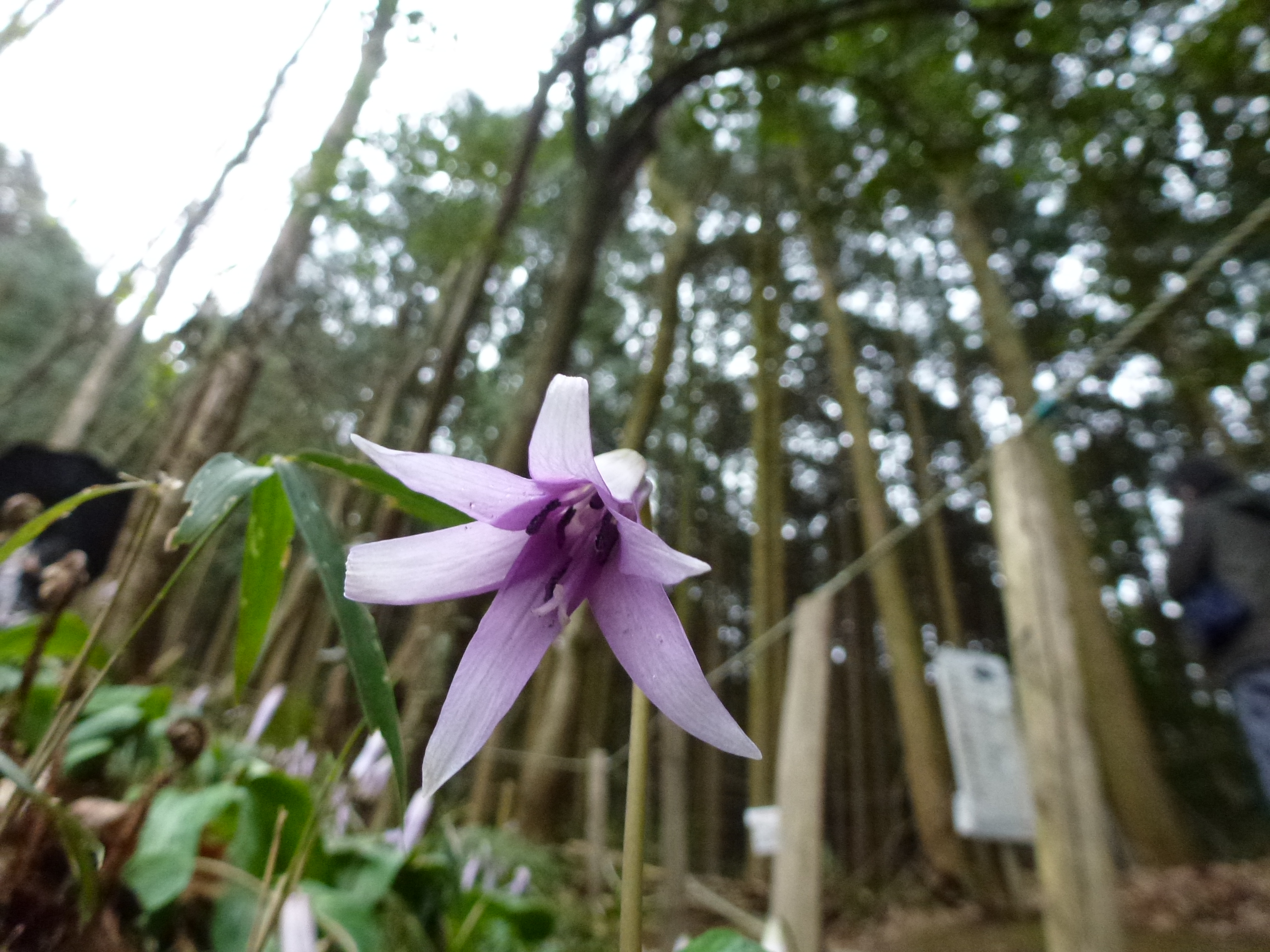 P1100280.JPG