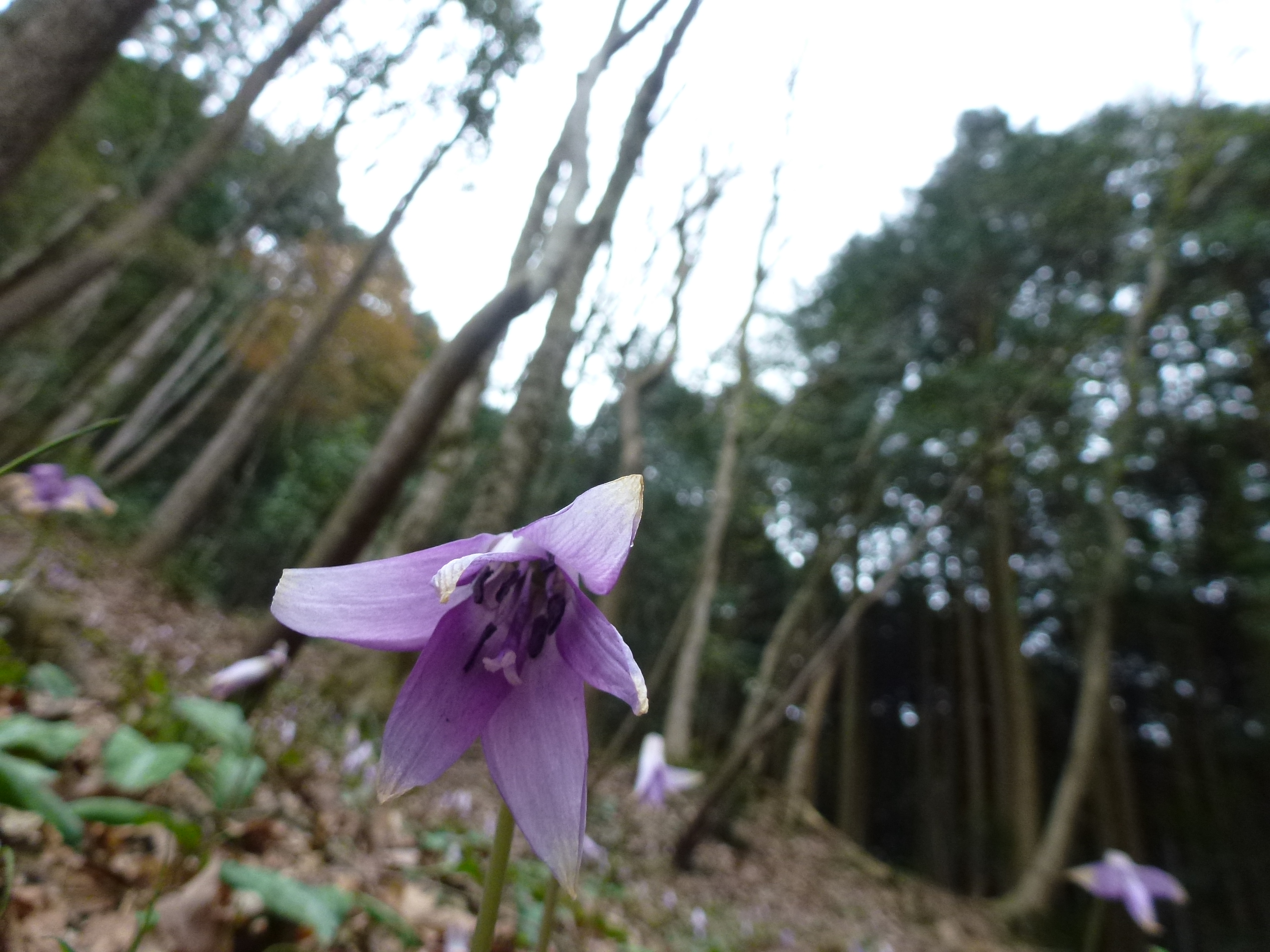 P1100282.JPG