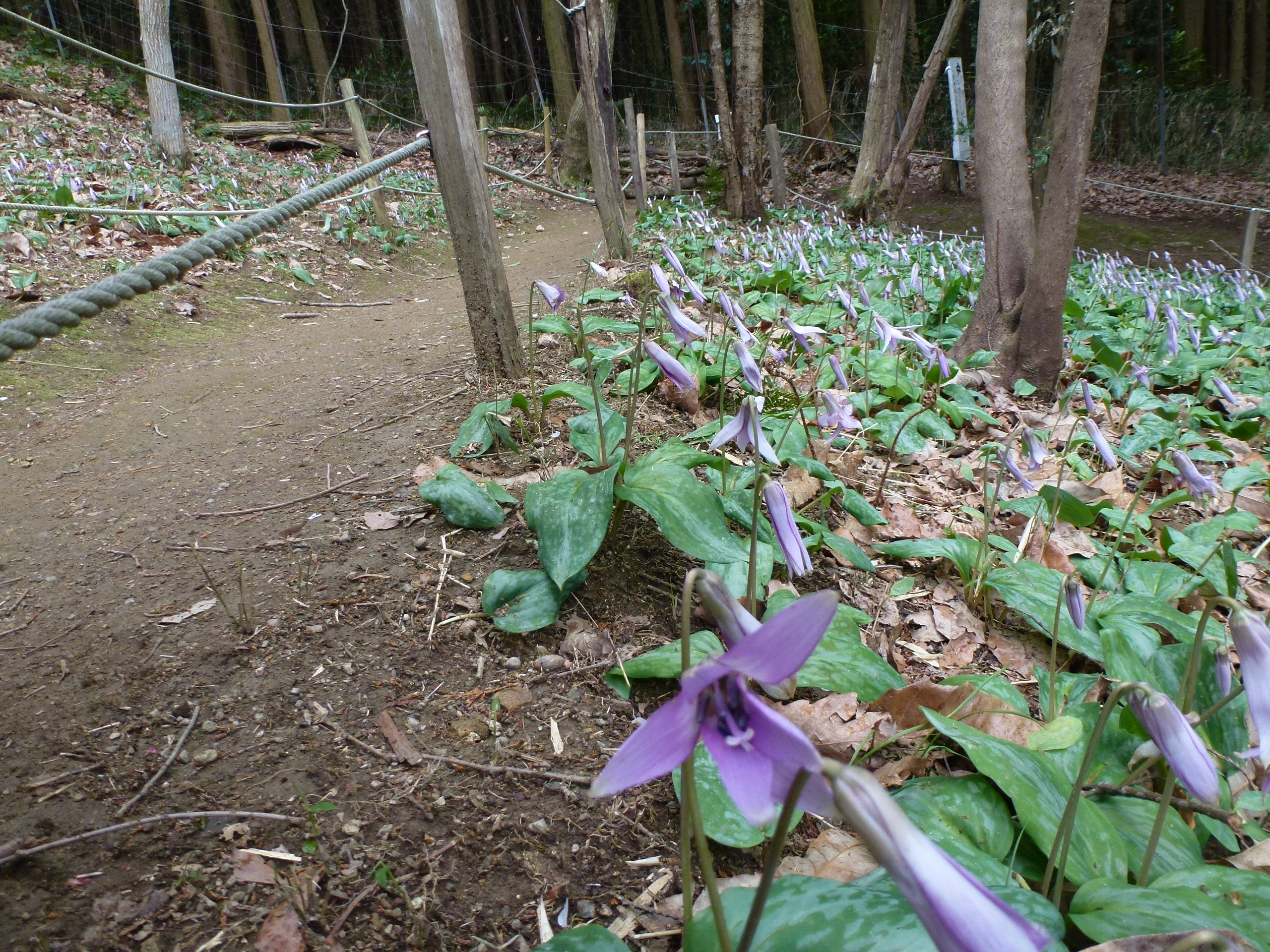 P1100284.JPG