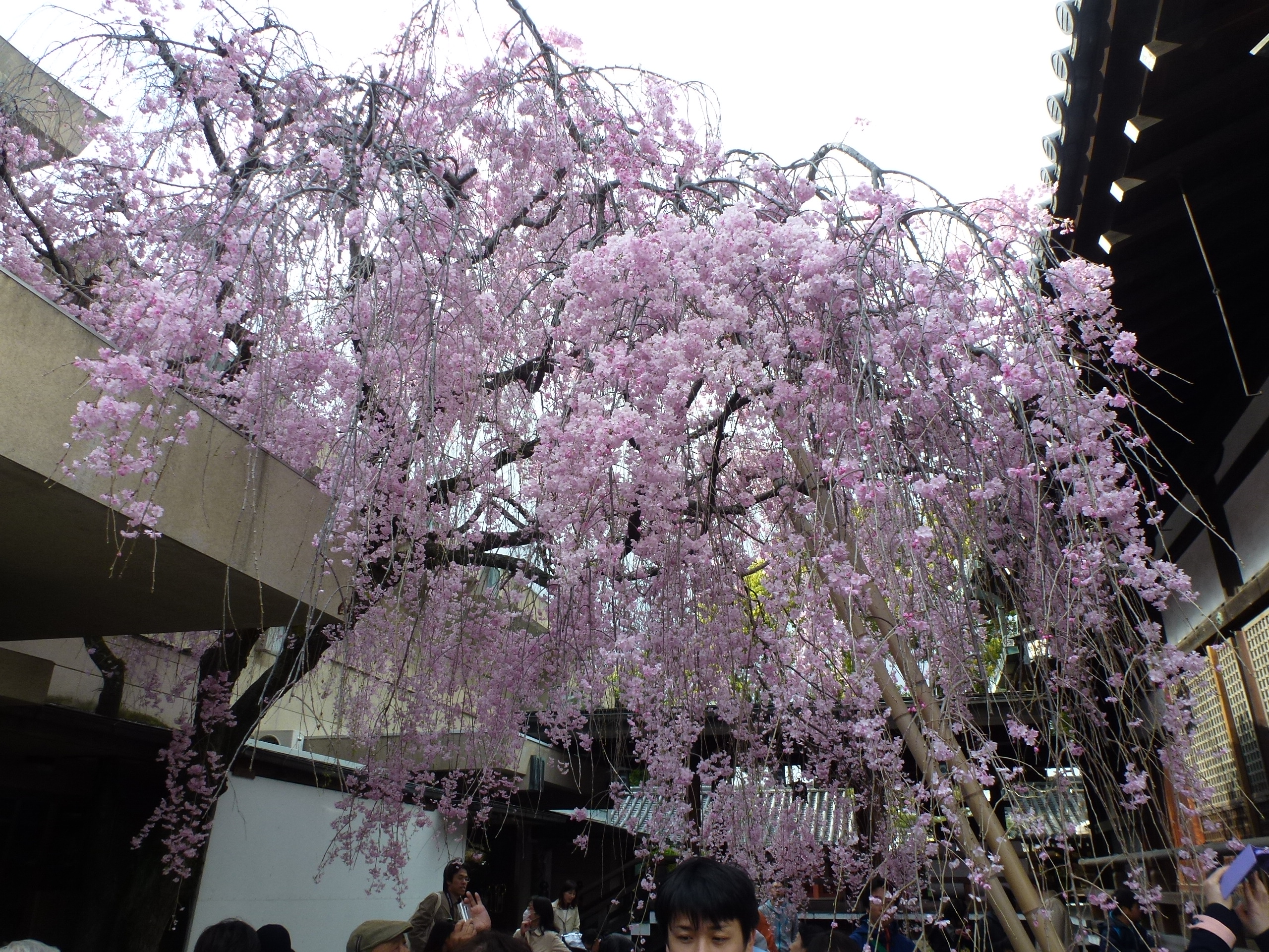 P1100316.JPG