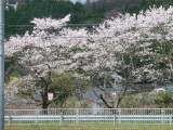 img0001.jpg