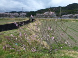 img0002.jpg