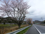 img0004.jpg