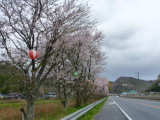 img0005.jpg