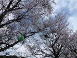 img0006.jpg