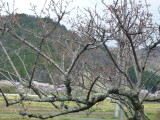 img0008.jpg