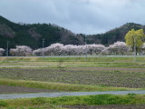 img0009.jpg