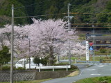 img0010.jpg