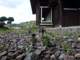 img0011.jpg