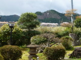 img0015.jpg