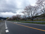 img0016.jpg