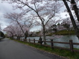 img0017.jpg