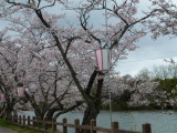 img0018.jpg