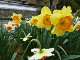 img0033.jpg