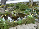 img0036.jpg