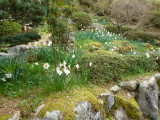 img0040.jpg