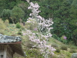 img0041.jpg