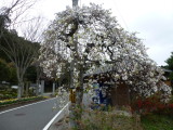 img0046.jpg