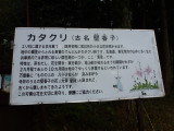 img0047.jpg
