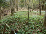 img0048.jpg