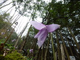 img0051.jpg