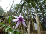 img0052.jpg