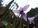 img0054.jpg