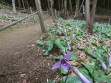 img0055.jpg