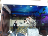 img0094.jpg