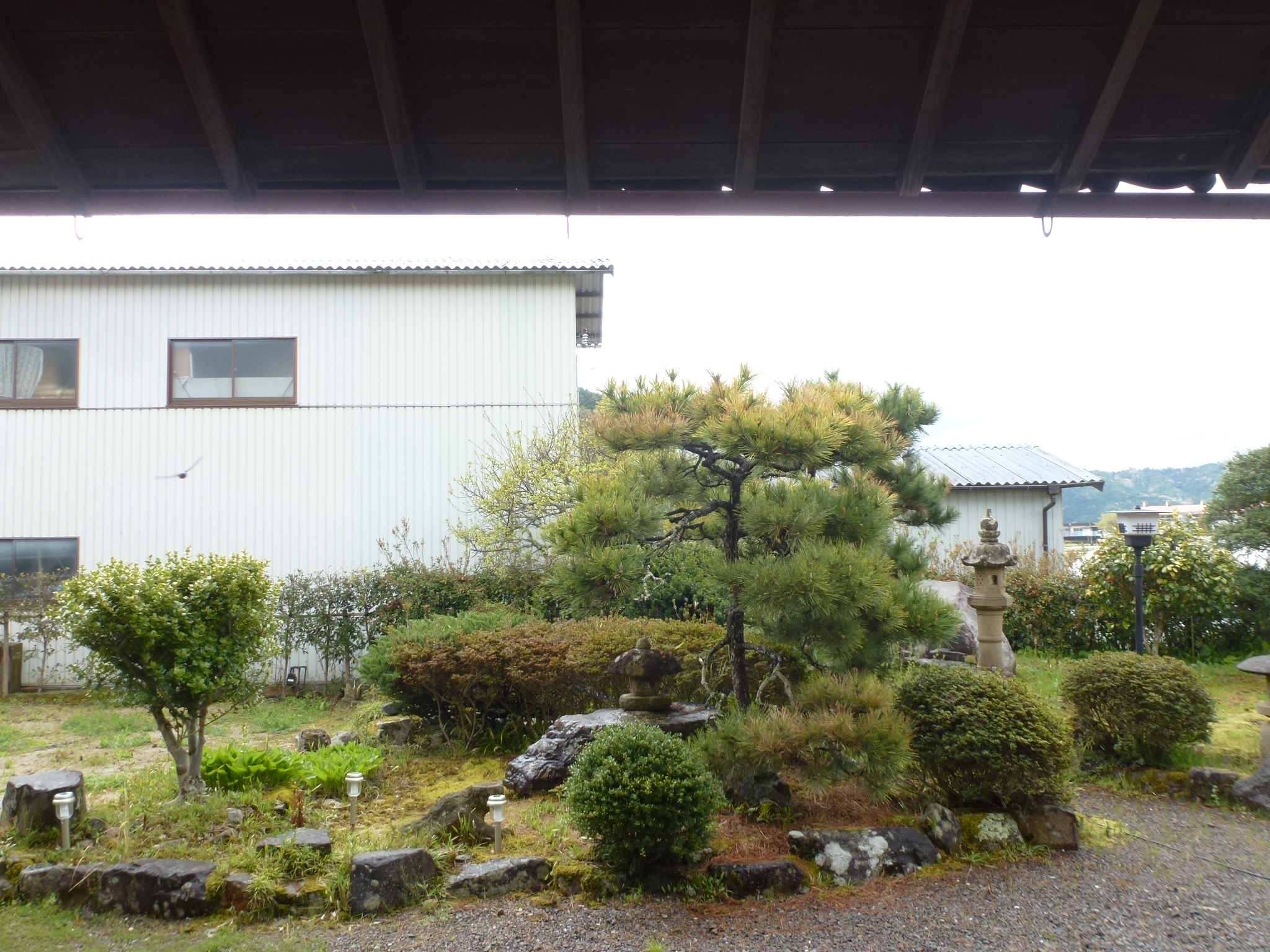 P1100562.JPG