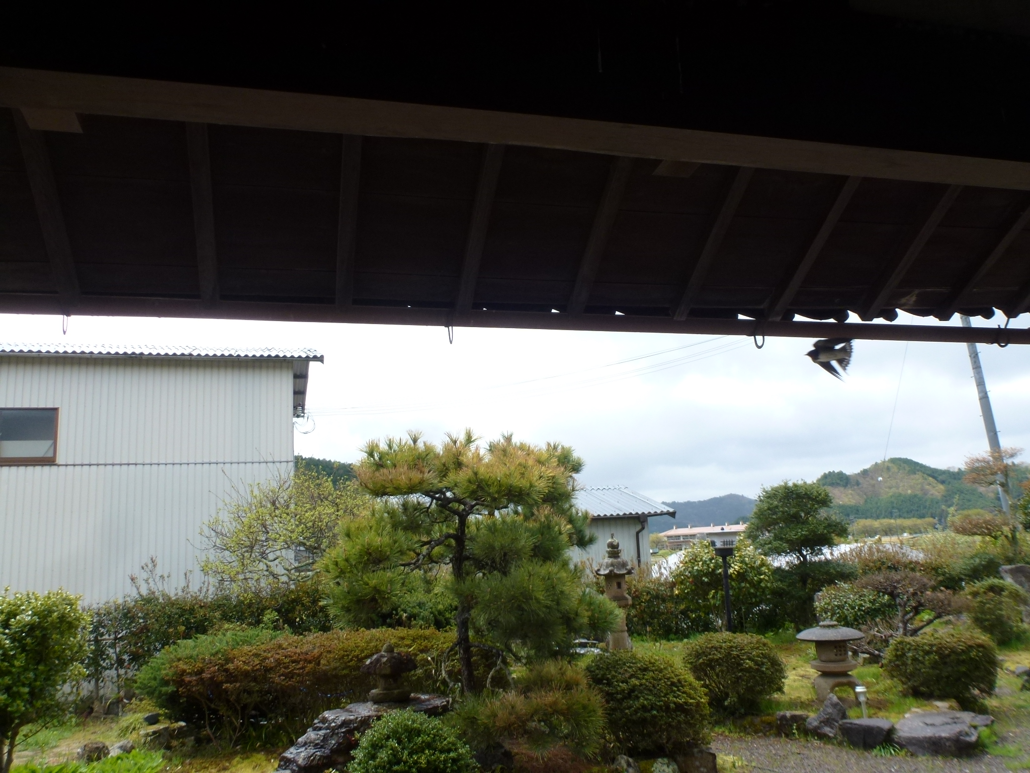P1100583.JPG